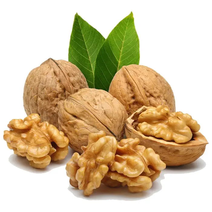 خرید نهال گردو چندلر پیوندی