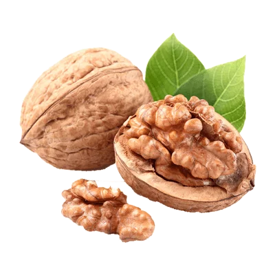 خرید نهال گردو لارا پیوندی