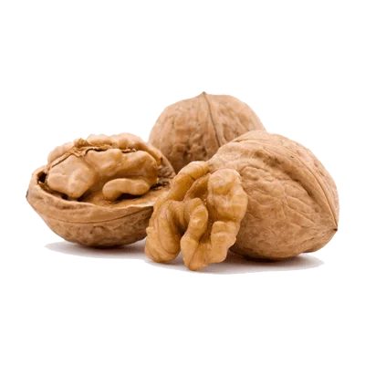خرید نهال گردو ژنوتیپ