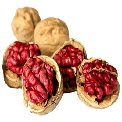 خرید نهال گردو تو سرخ پیوندی