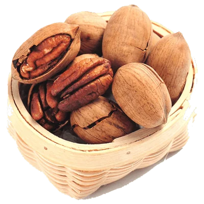 خرید نهال گردو پکان پیوندی