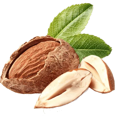 خرید نهال بادام منقا پیوندی