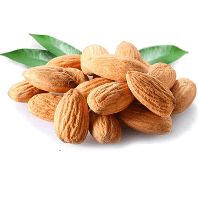 خرید نهال بادام تونو پیوندی