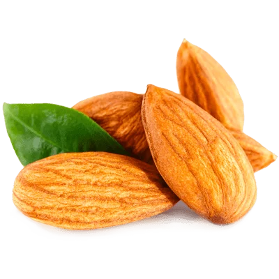 خرید نهال بادام شاهرودی پیوندی