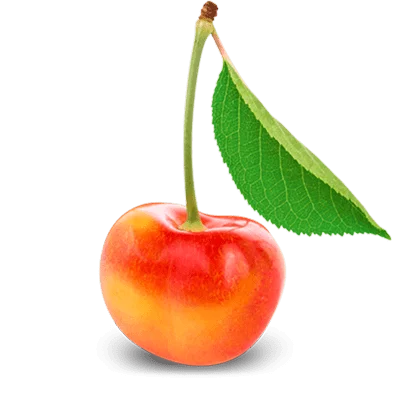 خرید نهال گیلاس مالیزیا پیوندی