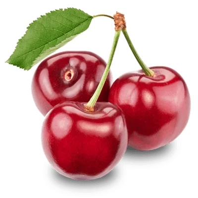 خرید نهال گیلاس استا پیوندی