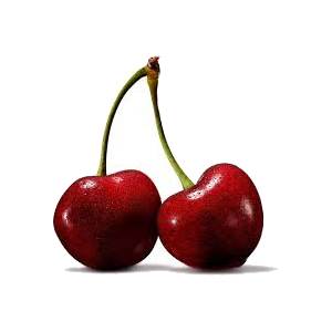 خرید نهال گیلاس خوشه ای پیوندی