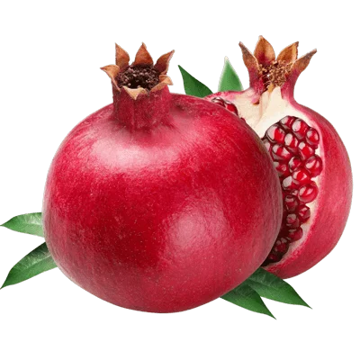خرید نهال انار شیراز پیوندی