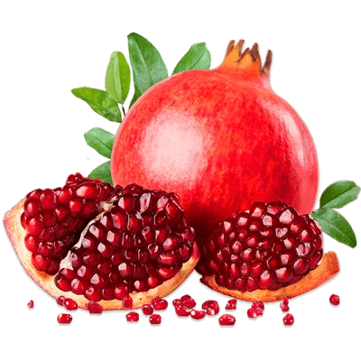 خرید نهال انار واندرفول پیوندی