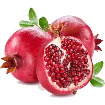 خرید نهال انار ژله ای پیوندی