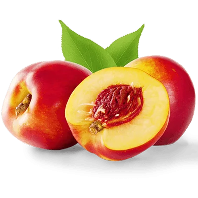 خرید نهال شلیل سان گلد پیوندی