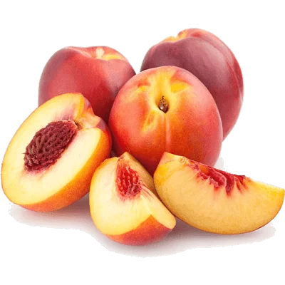 خرید نهال شلیل شبرنگ پیوندی