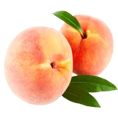 خرید نهال هلو پاییزه پیوندی