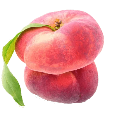 خرید نهال هلو انجیری پیوندی
