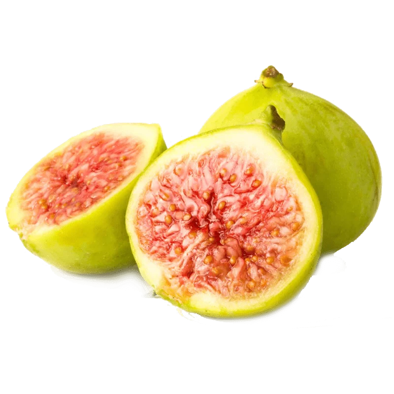 خرید نهال انجیر زرد عسلی