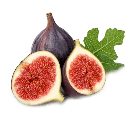 خرید نهال انجیر سیاه
