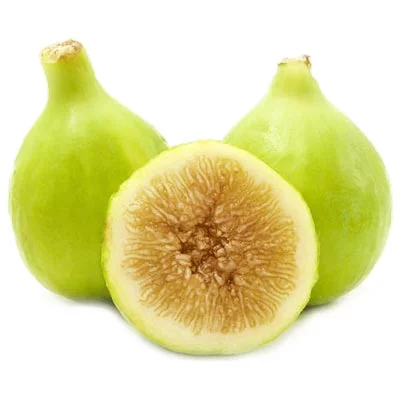 خرید نهال انجیر سفید پیوندی
