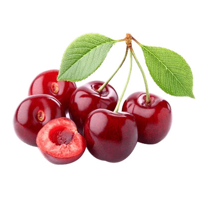 خرید نهال آلبالو خوشه ای مورلو