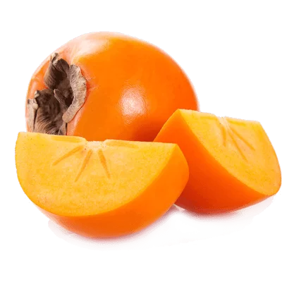 خرید نهال خرمالو ایورکا