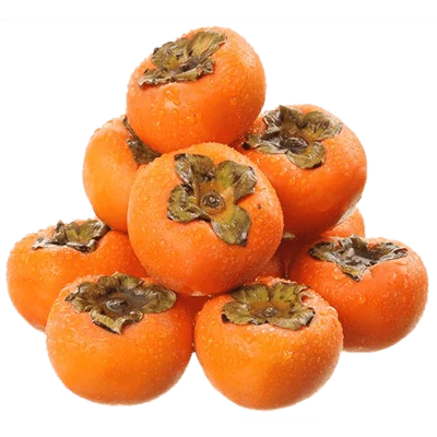 خرید نهال خرمالو ژاپنی
