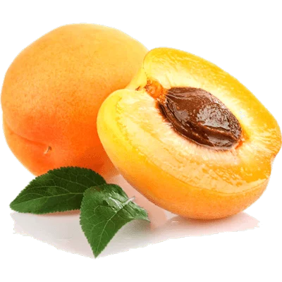 خرید نهال زردآلو نصیری