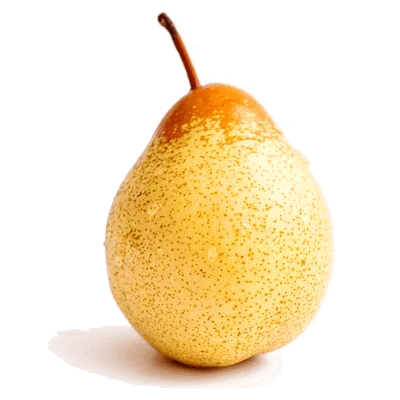 خرید نهال گلابی ناشی