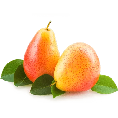 خرید نهال گلابی پرتقالی