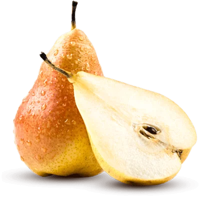 خرید نهال گلابی شاه میوه