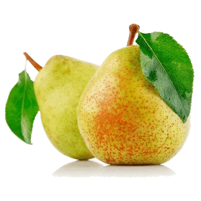 خرید نهال گلابی درگزی