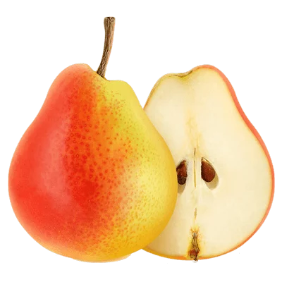 خرید نهال گلابی نطنزی