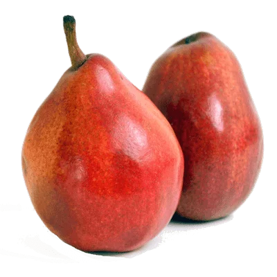 خرید نهال گلابی رد آنجو
