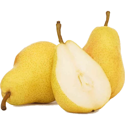 خرید نهال گلابی بیروتی