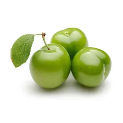 خرید نهال گوجه سبز ملایر