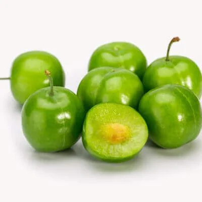 خرید نهال گوجه سبز برغانی